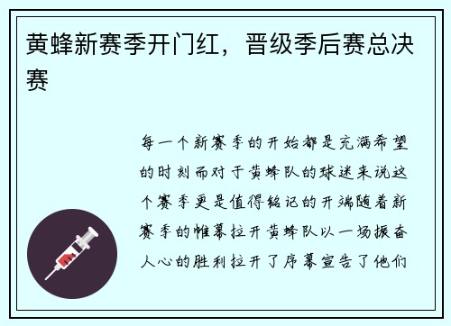 黄蜂新赛季开门红，晋级季后赛总决赛